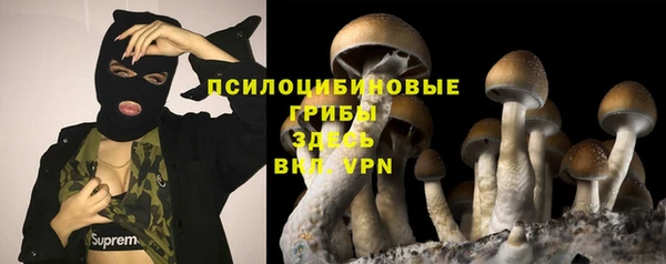 PSILOCYBIN Алексеевка