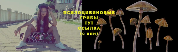PSILOCYBIN Алексеевка