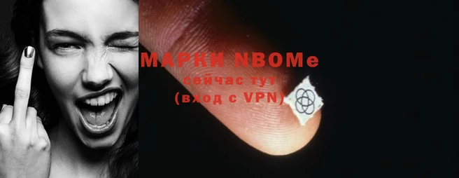 PSILOCYBIN Алексеевка