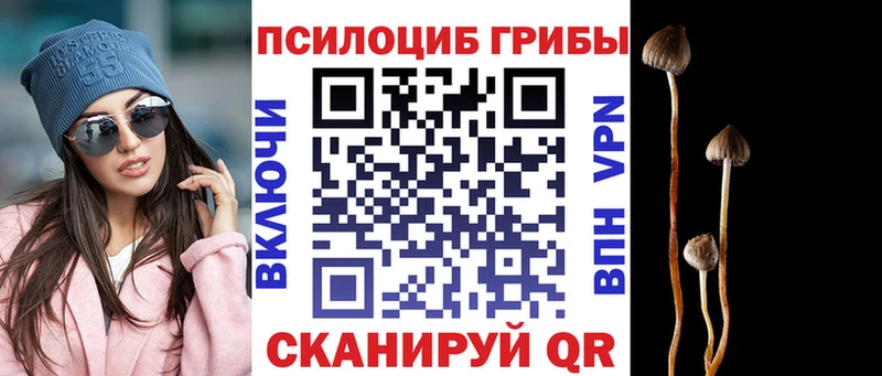 где продают наркотики  Трёхгорный  hydra онион  Псилоцибиновые грибы мицелий 